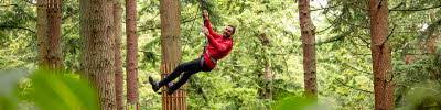 Image result for Go Ape! Alice Holt