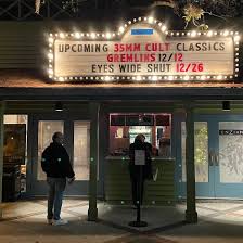 Image result for Enzian