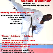 Image result for Haslemere Karate Club