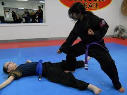 Image result for Hidden Dragon Karate-Do