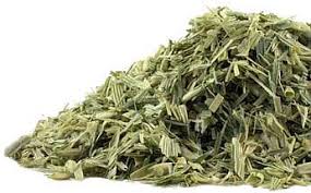 Attēlu rezultāti vaicājumam “Avena sativa fruit”