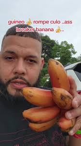 Image result for culo