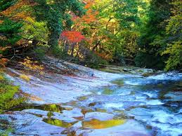 Image result for Bushiki Kwai