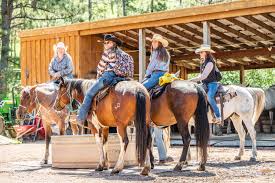 Image result for Palmers Riding Stables