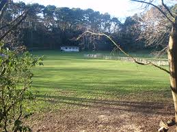 Image result for Broadstone Cricket Club