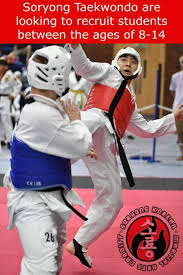 Image result for Llantrisant Tkd