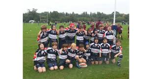 Image result for Ipswich Ym Rugby Union Football Club