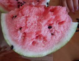 Attēlu rezultāti vaicājumam “Citrullus lanatus”