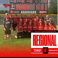 Image result for Dragons Softball Club