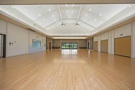 Image result for Spring View Community Sports Association