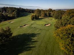 Image result for Betchworth Park Golf Club