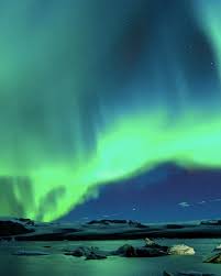 Attēlu rezultāti vaicājumam “Pemphigus borealis”