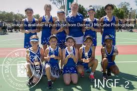 Image result for Civil Service (Ipswich) Netball Club