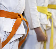 Image result for Stockport Shotokan Karate Club