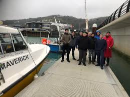 Image result for Maverick Divers