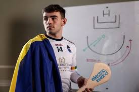 Image result for Clarehurlers