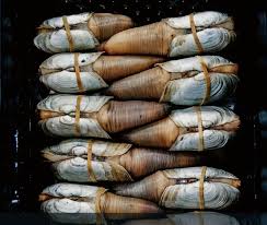 Image result for geoduck