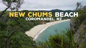 Image result for new chums beach