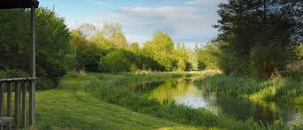 Image result for City Of London Piscatorial Society