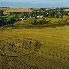 Image result for crop circles