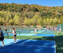 Image result for Lockerbie Pickleball Club