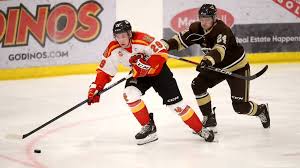 Image result for Poole Hockey Club