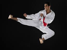 Image result for Seiki Juku Karate Club
