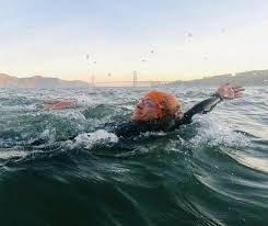 Image result for Dolphin Badminton Club