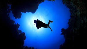 Image result for Deep and Wide Diving