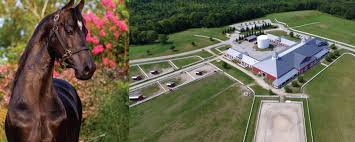 Image result for Annandale Equestrian Centre