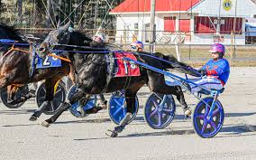 Image result for brutalizer