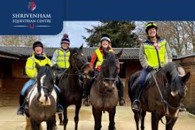 Image result for South Weylands Equestrian