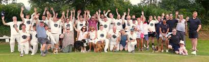 Image result for Yelverton Bohemians Cricket Club