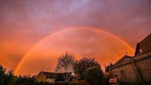 Attēlu rezultāti vaicājumam “Red Rainbows”