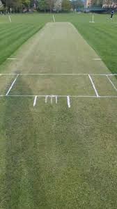Image result for Saltaire Cricket Club
