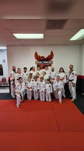 Image result for Phoenix Martial Arts