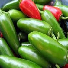 Afbeeldingsresultaat voor jalapeno early hot pepper