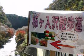 「柿の木利江」の画像検索結果