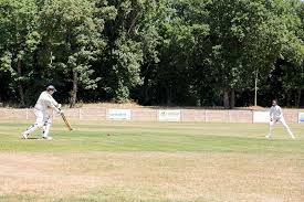 Image result for Old Wilsonians Cricket Club
