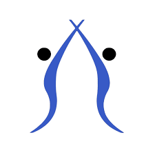 Image result for Sudbury Gymnastics Club