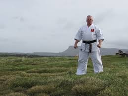 Image result for Twyford Higashi Karate Club