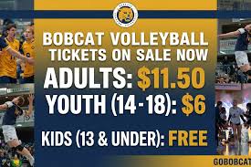 Image result for Brandon Badminton Club