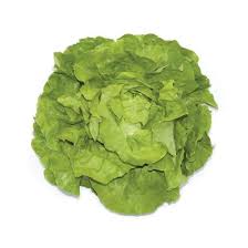 Image result for Kopfsalat