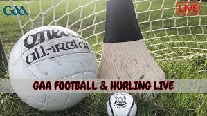 Image result for Tara Gfc