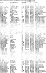 Attēlu rezultāti vaicājumam “Elmerina caryae”