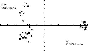 Attēlu rezultāti vaicājumam “Carterocephalus silvicolus underside”