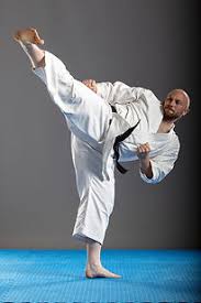 Image result for Swansea Taekwondo Club