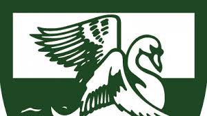 Image result for Leatherhead Football Club