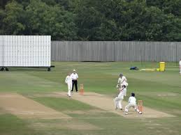 Image result for Bashley (Rydal) Cricket Club