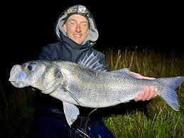 Image result for Bristol Channel Sea Fishing